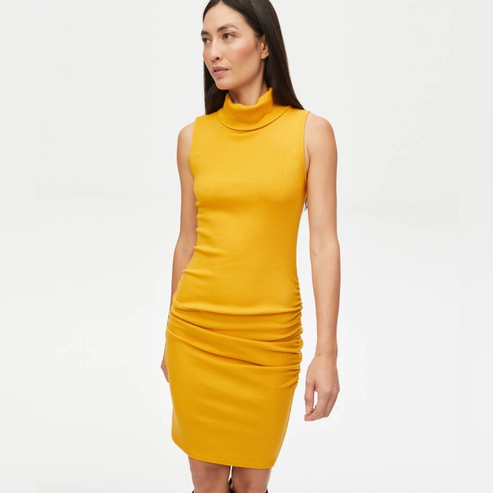 MICHAEL STARS NWOT MACY DRESS